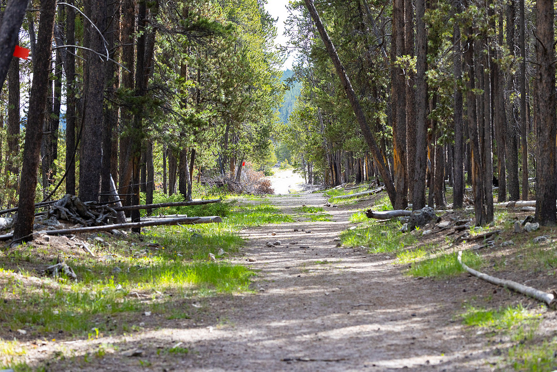 Views along the Mary Mountain Trail: near the west end trailhead