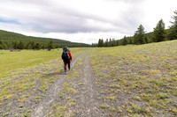 Views along the Mary Mountain Trail: old service road