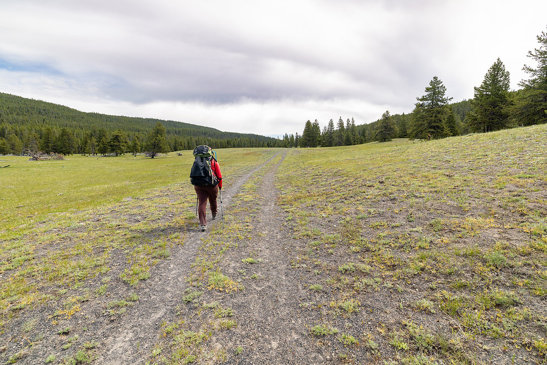 Views along the Mary Mountain Trail: old service road