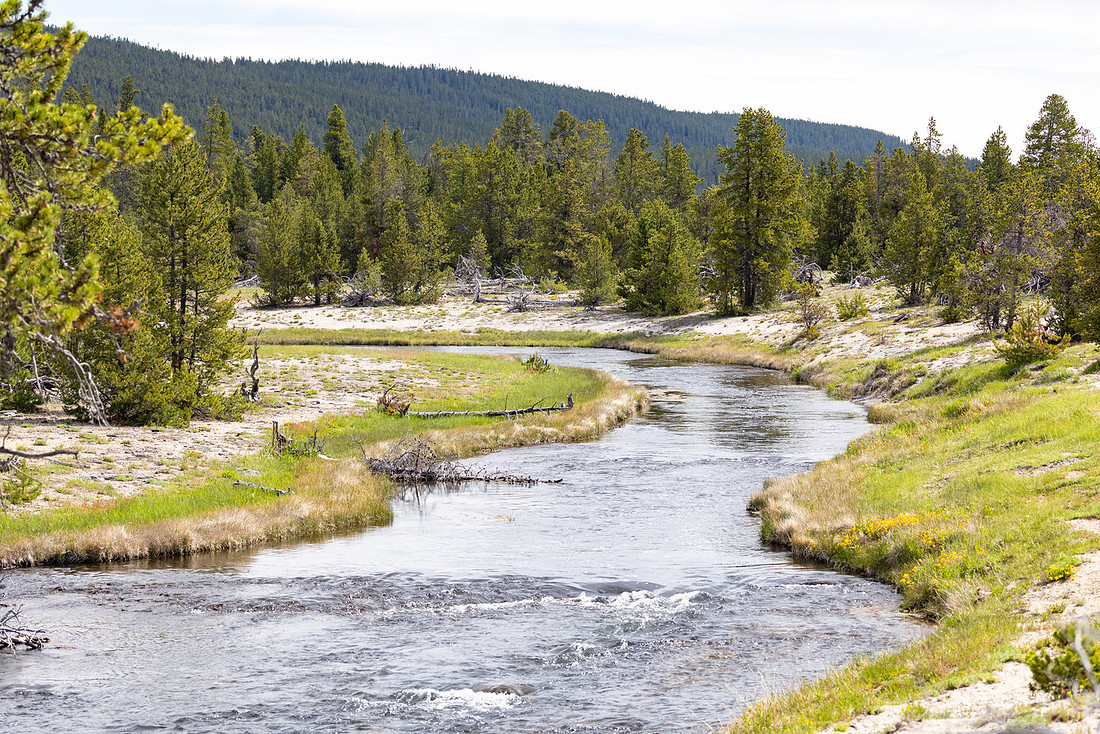 Views along the Mary Mountain Trail: Nez Perce Creek