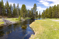 Views along the Mary Mountain Trail: Nez Perce Creek at footbrid