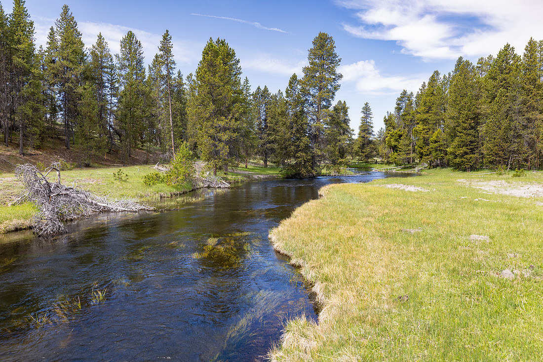 Views along the Mary Mountain Trail: Nez Perce Creek at footbrid