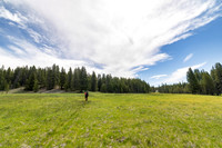 Views along the Mary Mountain Trail: crossing  a meadow