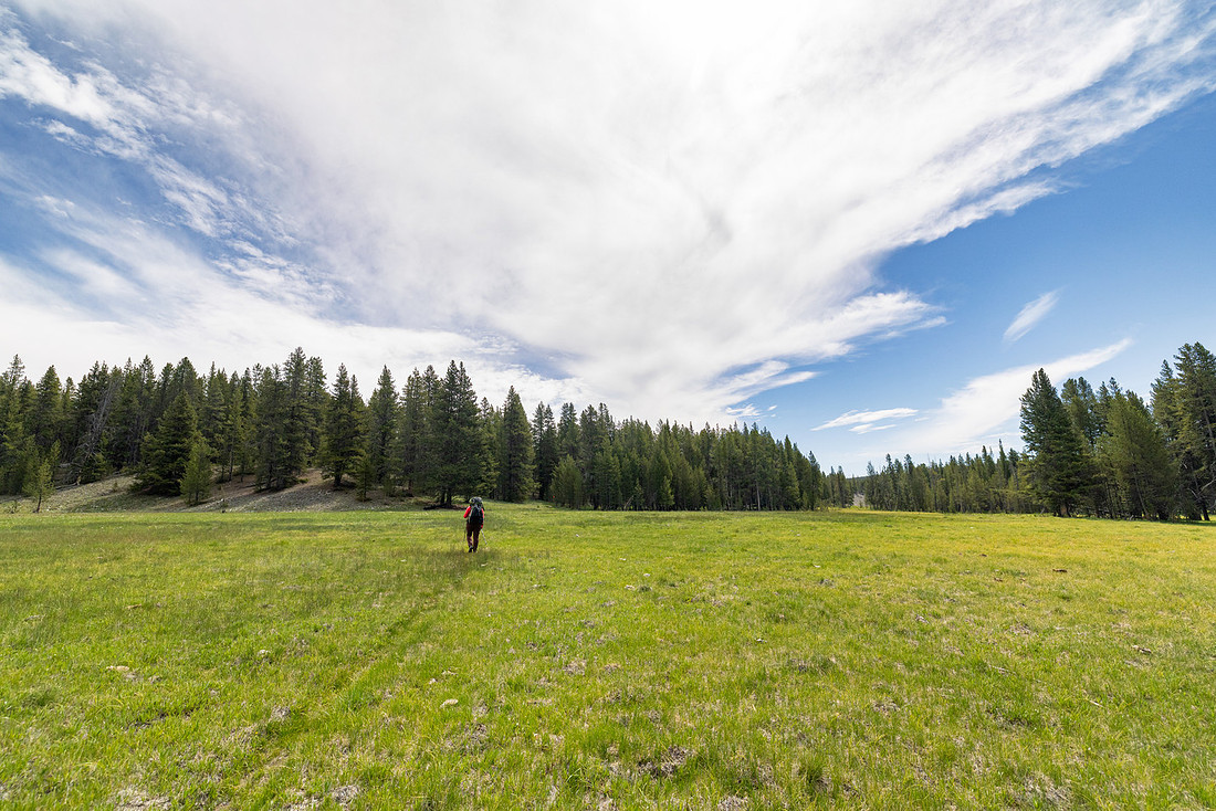 Views along the Mary Mountain Trail: crossing  a meadow