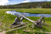 Views along the Mary Mountain Trail: corves of Nez Perce Creek