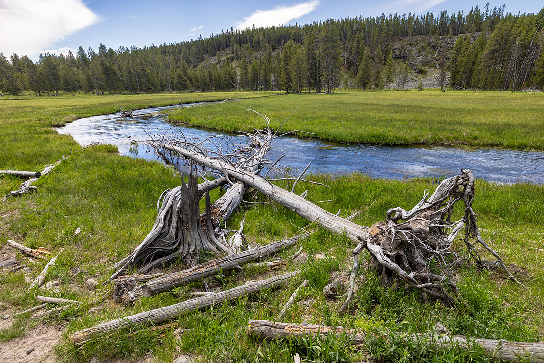 Views along the Mary Mountain Trail: corves of Nez Perce Creek