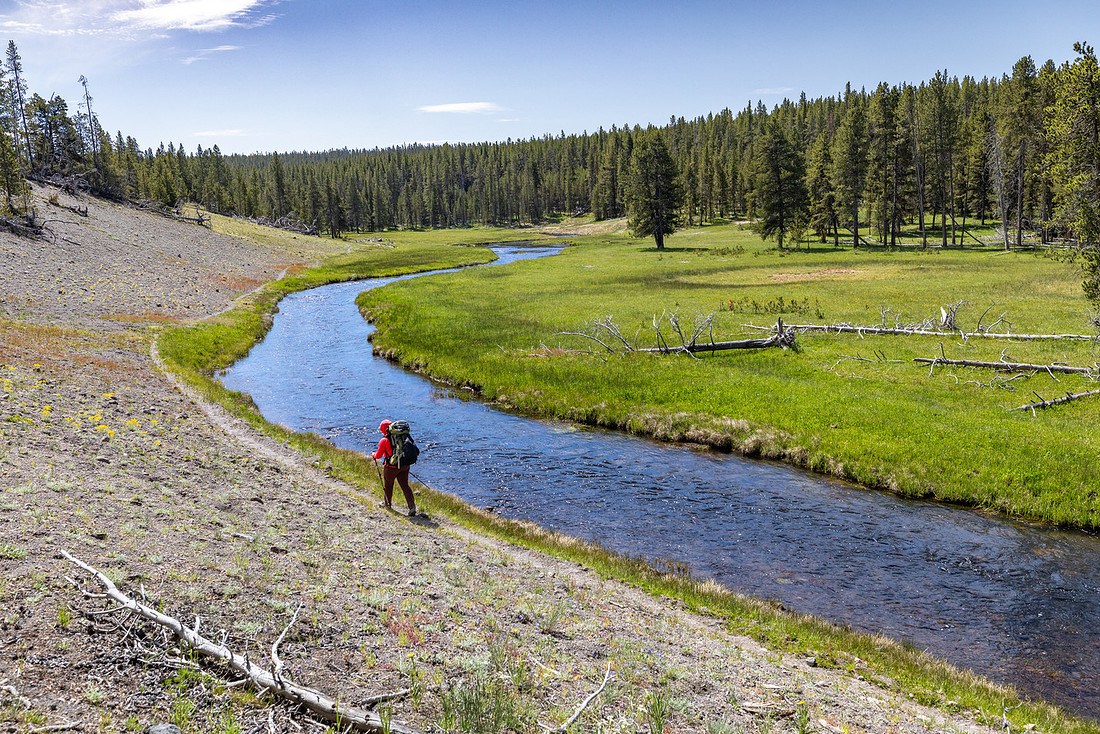 Views along the Mary Mountain Trail: following Nez Perce Creek