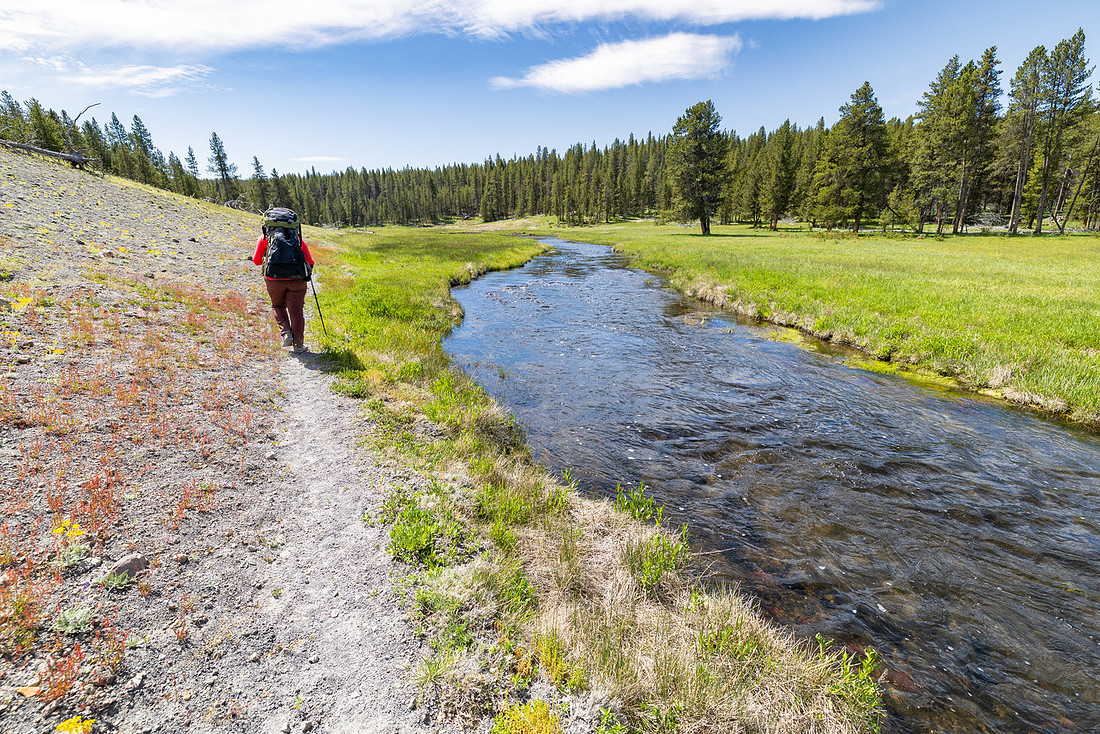 Views along the Mary Mountain Trail: following Nez Perce Creek (