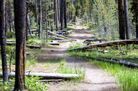 Views along the Mary Mountain Trail: starting the climb to the C