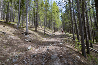 Views along the Mary Mountain Trail: climbing to the Central Pla