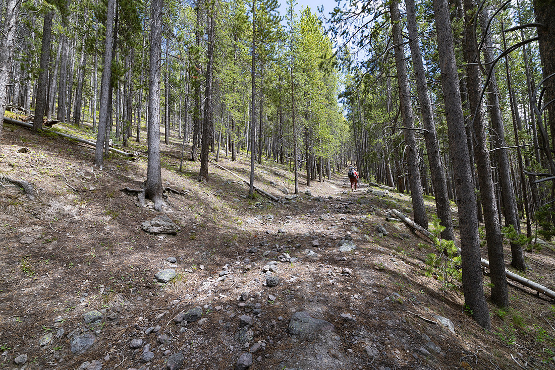 Views along the Mary Mountain Trail: climbing to the Central Pla