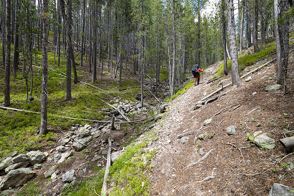 Views along the Mary Mountain Trail: climbing to the Central Pla