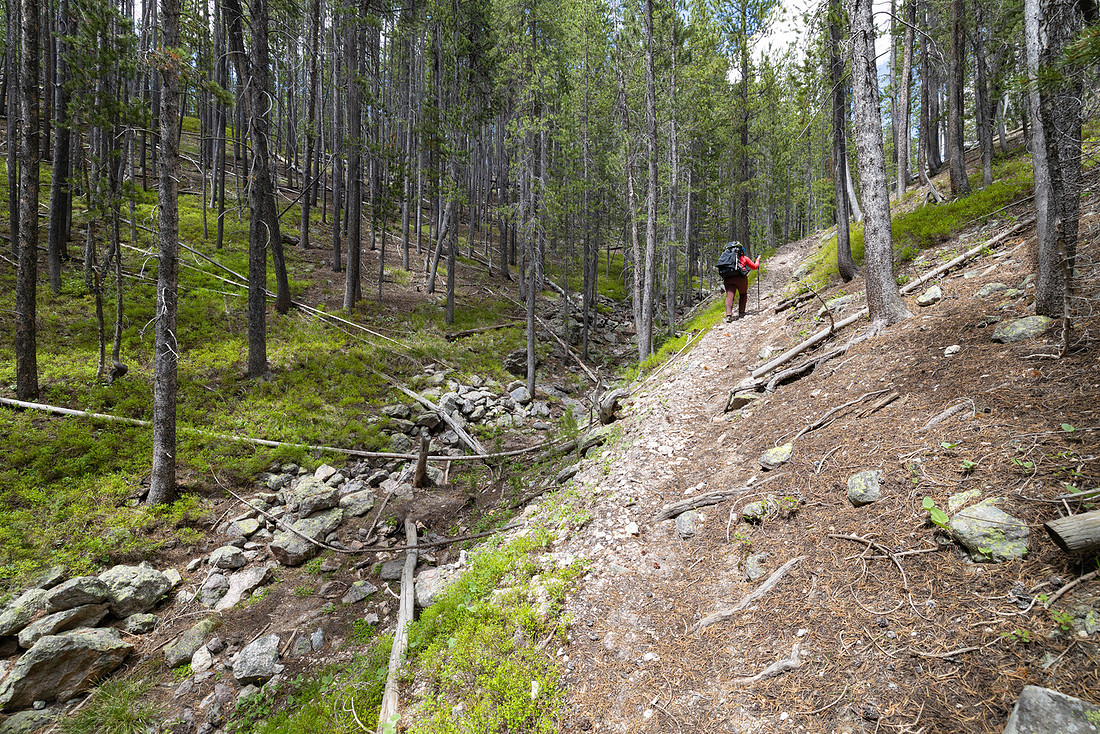 Views along the Mary Mountain Trail: climbing to the Central Pla