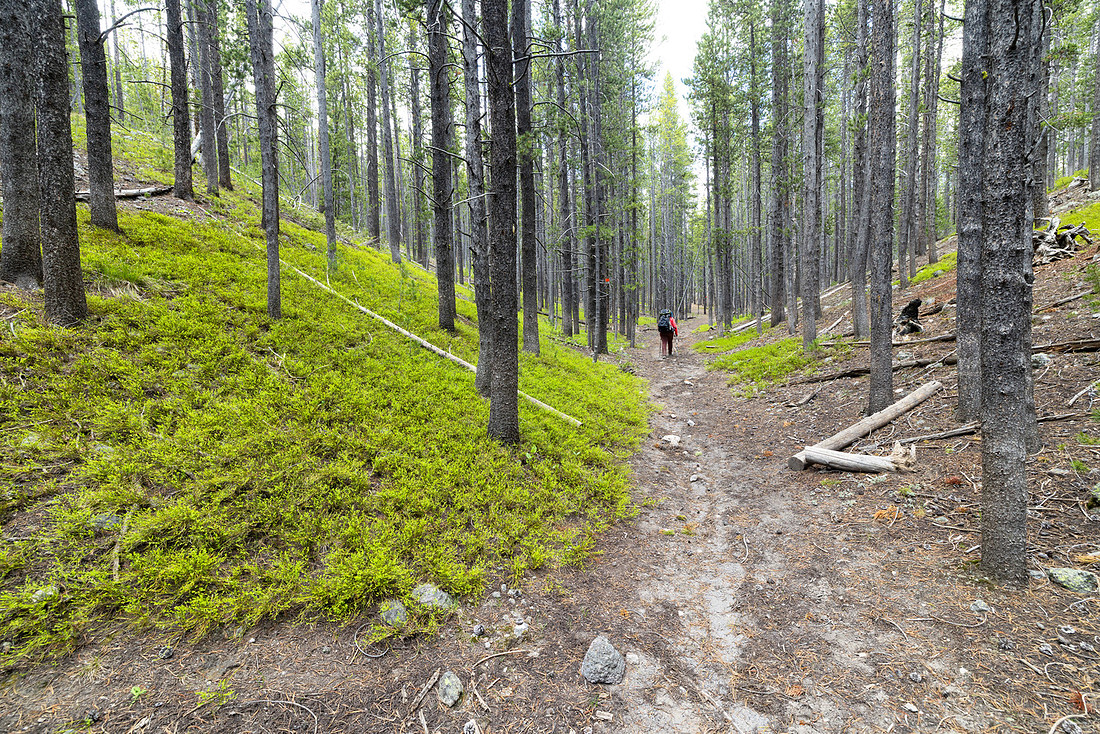 Views along the Mary Mountain Trail: final push to Mary Lake