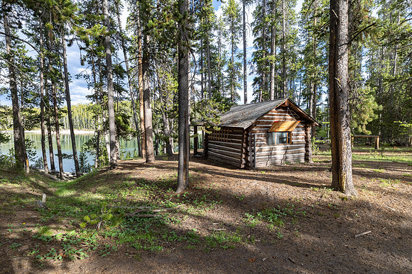 Mary Lake Patrol Cabin: afternoon light through the trees
