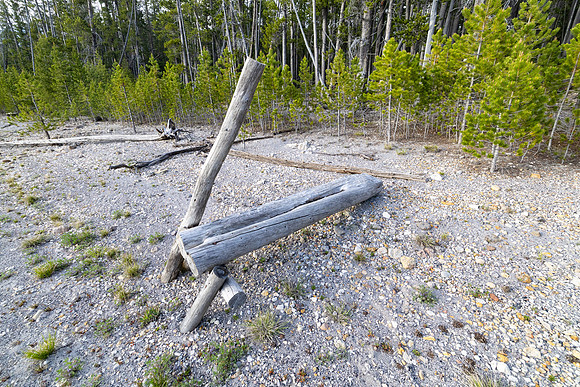 Old dock along the shore of Mary Lake