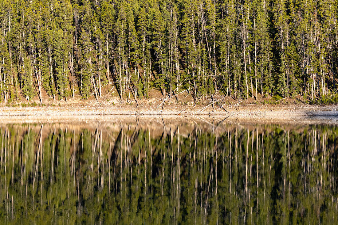 afternoon reflections on Mary Lake  (5)