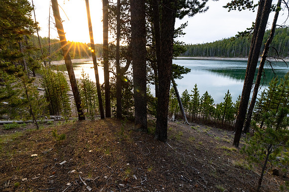 Mary Lake sunrise through the trees