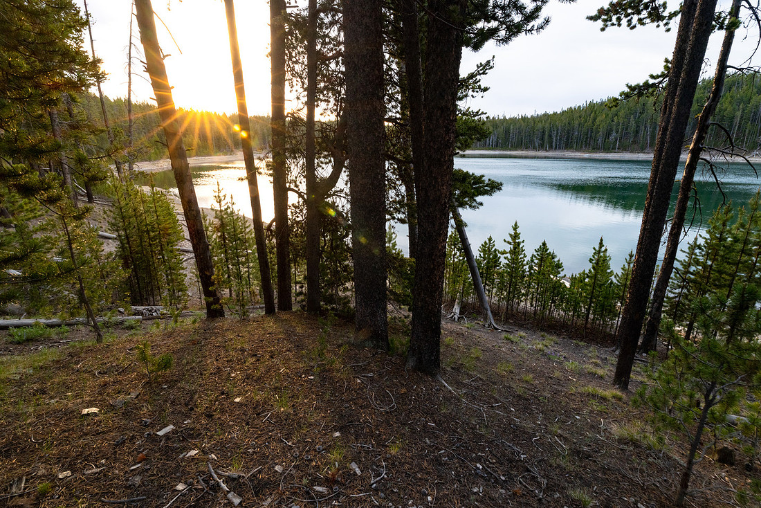 Mary Lake sunrise through the trees