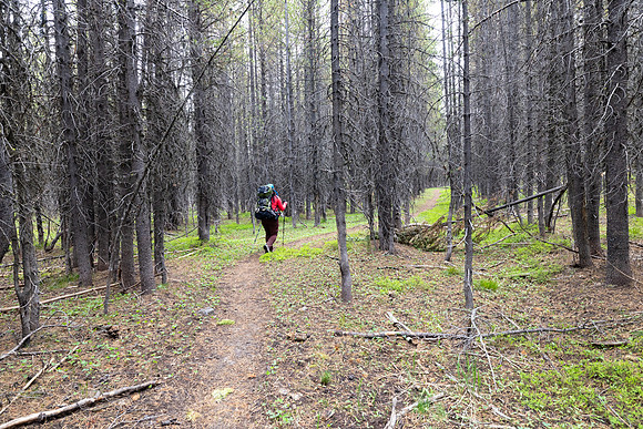 Views along the Mary Mountain Trail: east of Highland Hot Spring