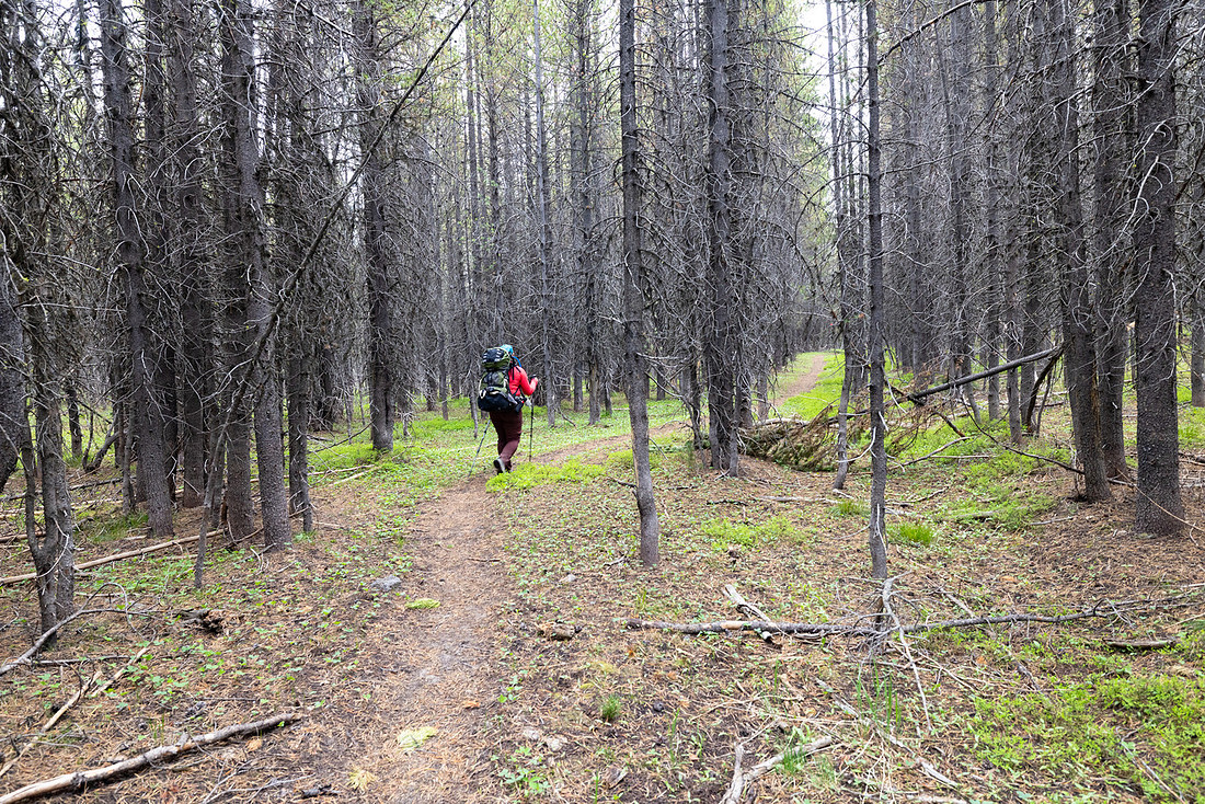 Views along the Mary Mountain Trail: east of Highland Hot Spring