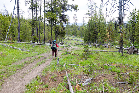 Views along the Mary Mountain Trail: dropping of the Central Pla