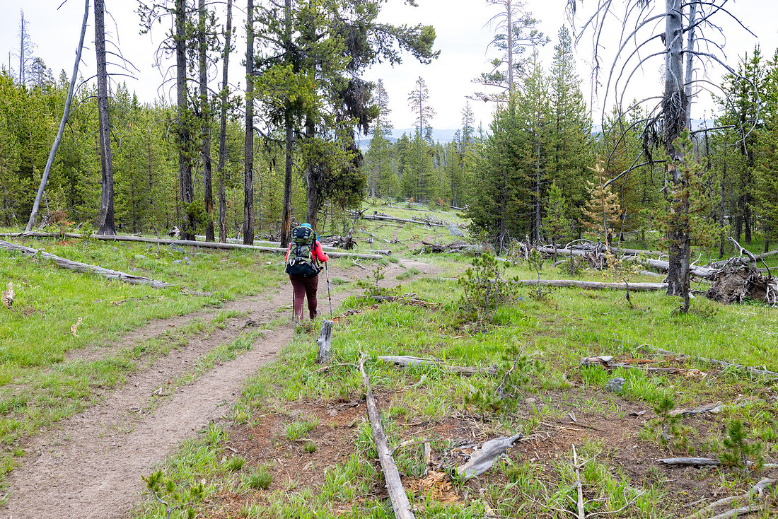 Views along the Mary Mountain Trail: dropping of the Central Pla