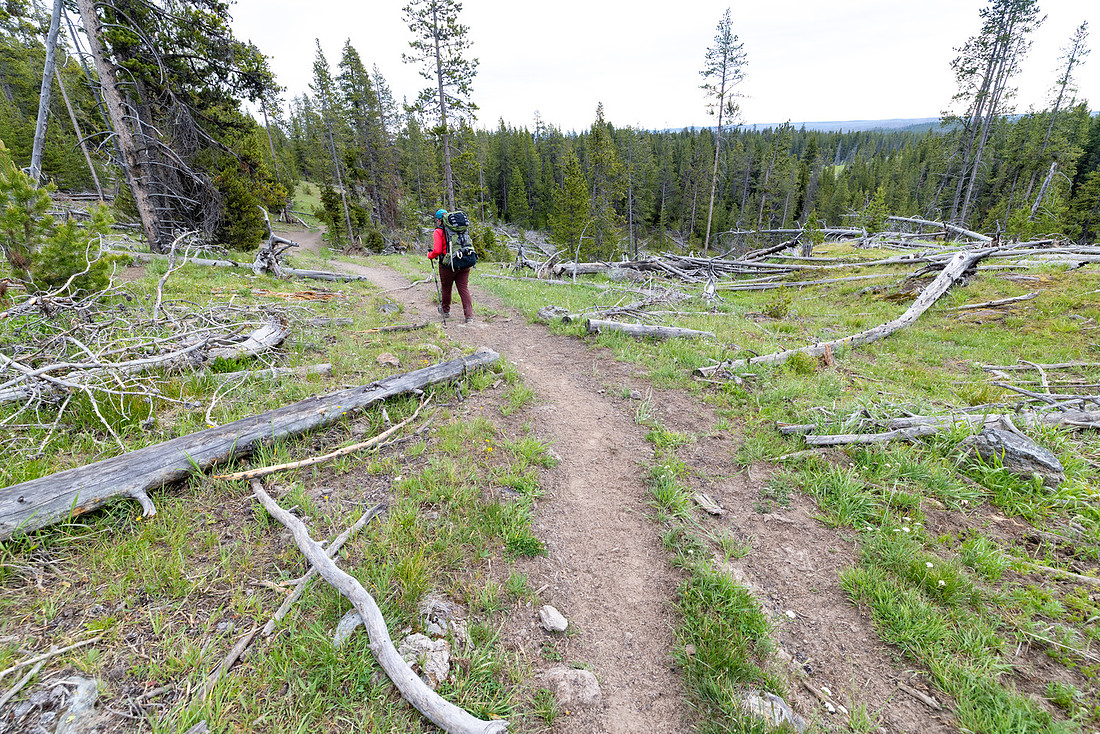 Views along the Mary Mountain Trail: dropping of the Central Pla