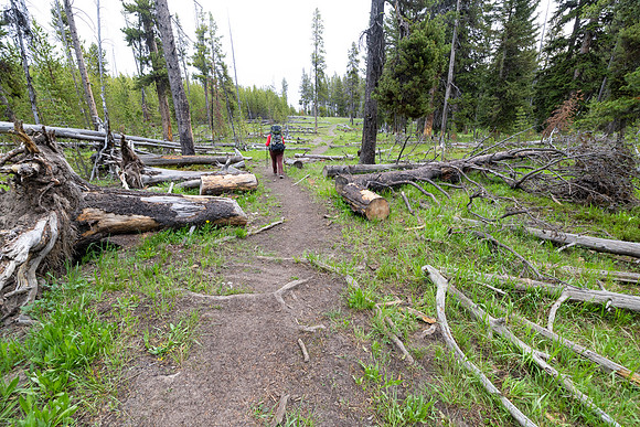 Views along the Mary Mountain Trail: dropping of the Central Pla