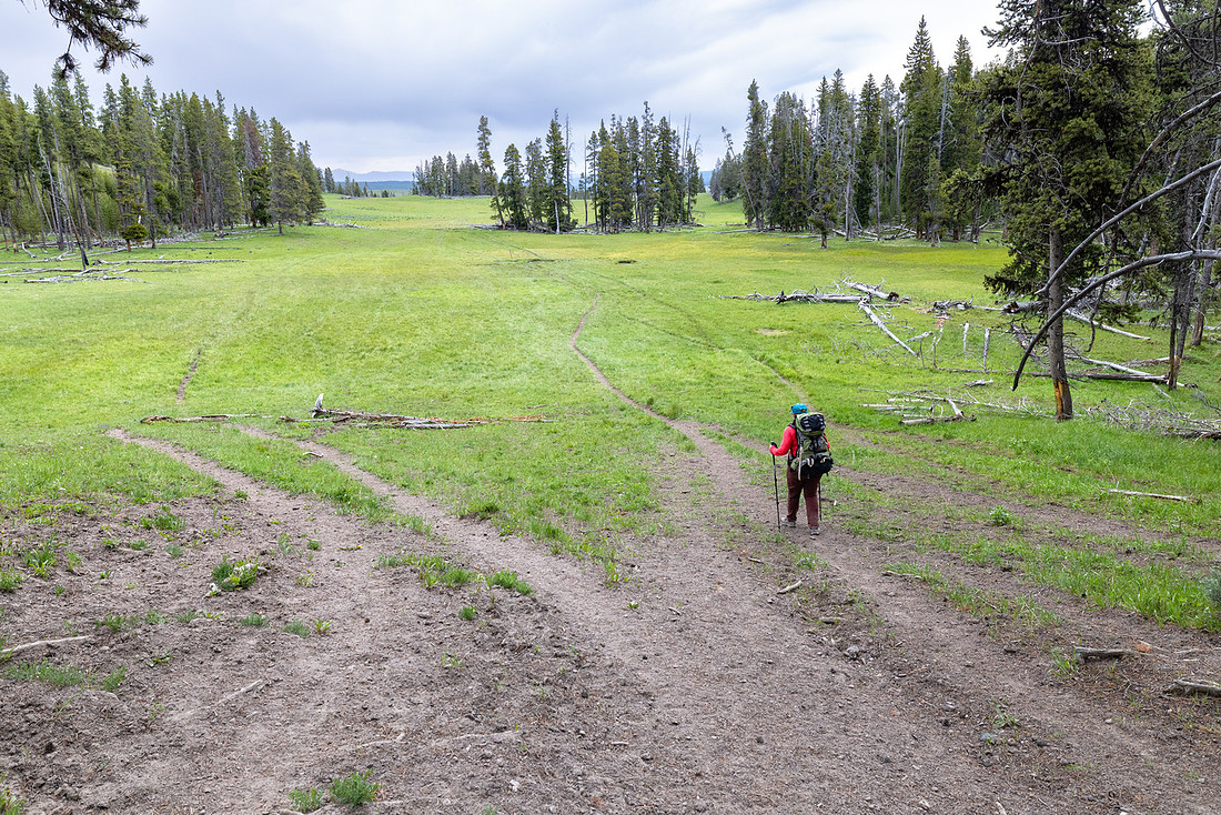 Views along the Mary Mountain Trail: entering Hayden Valley