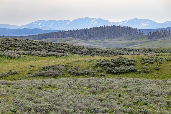 Mountain views in Hayden Valley (2)