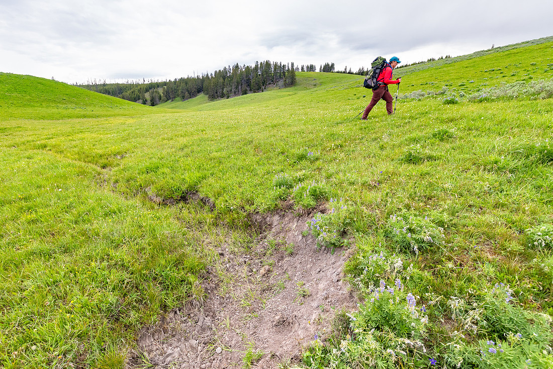 Views along the Mary Mountain Trail: hiking to the east