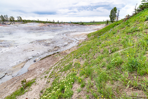Headwaters of Violet Creek