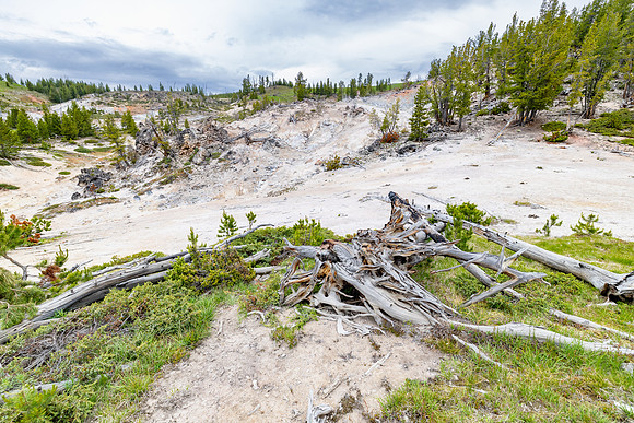 Violet Springs on a cloudy afternoon (2)