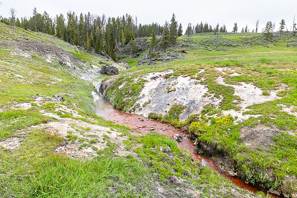 Violet Creek steaming as it flows into Harden Valley (2)