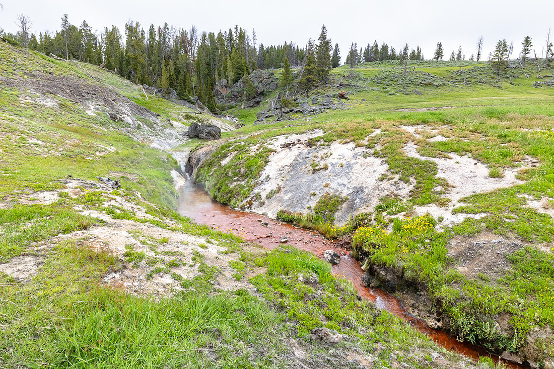 Violet Creek steaming as it flows into Harden Valley (2)