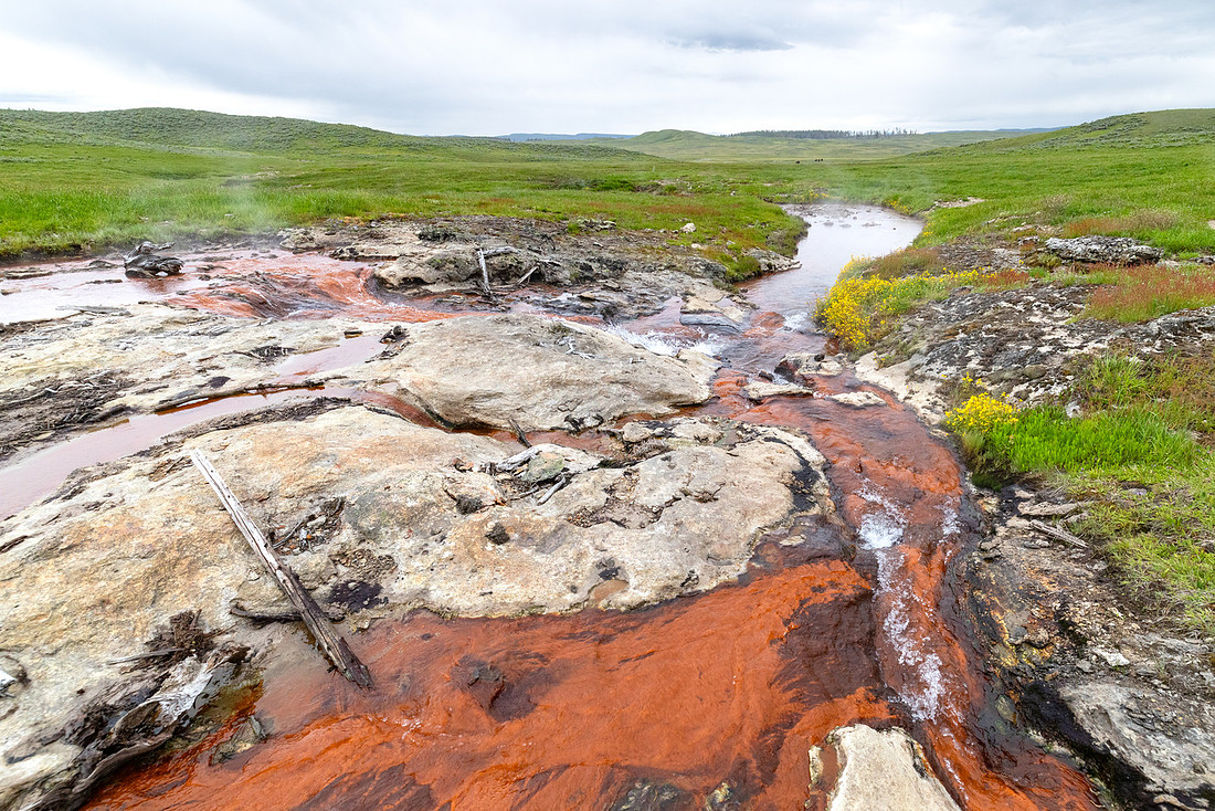 Thermophiles in Violet Creek