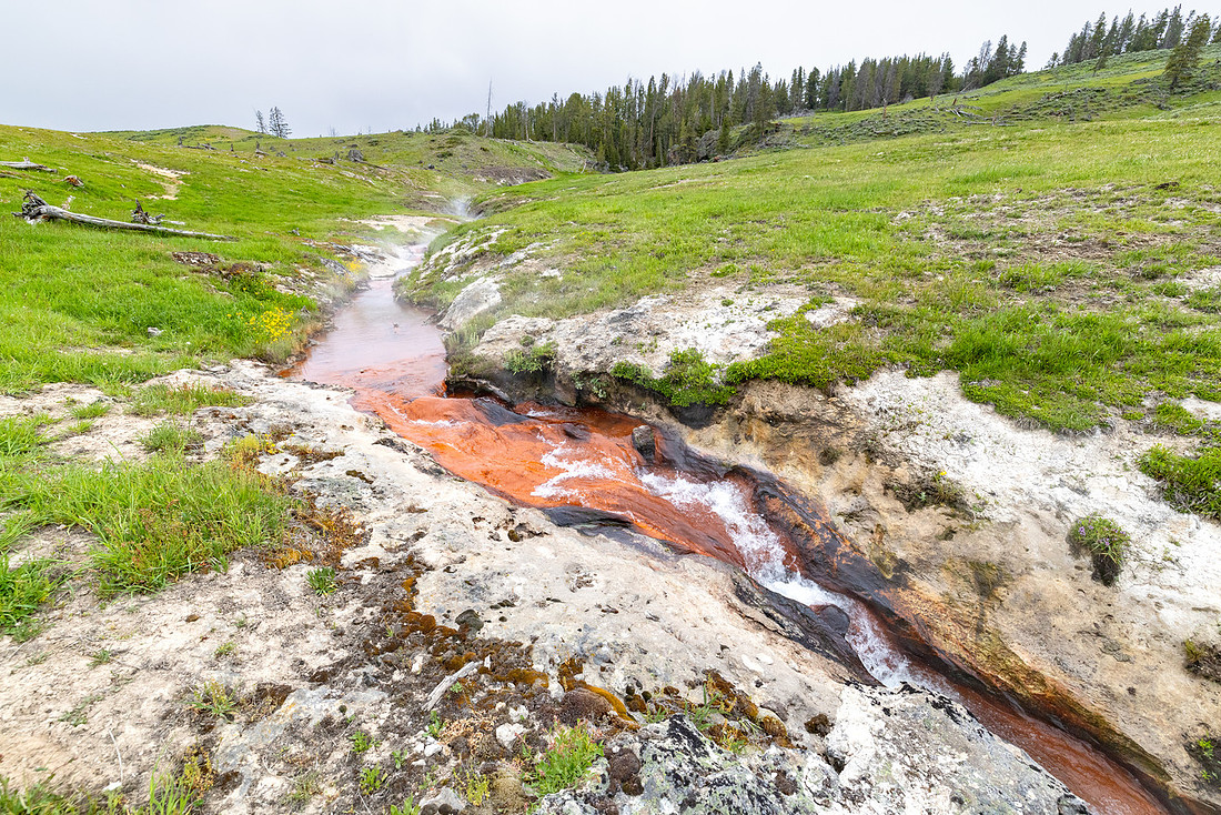 Violet Creek steaming as it flows into Harden Valley (3)
