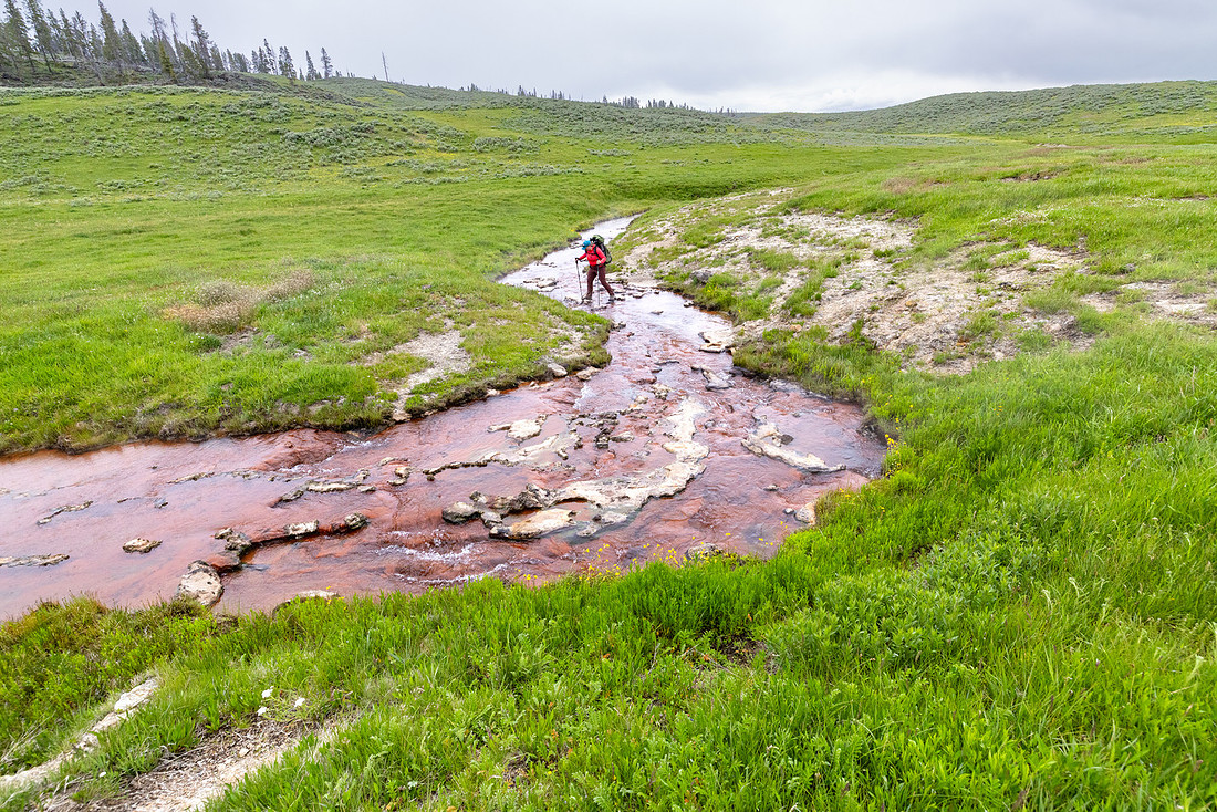 Views along the Mary Mountain Trail: crossing Violet Creek