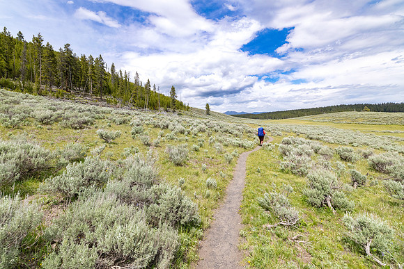 Views along the Mary Mountain Trail: Hiker near the Mary Mountai