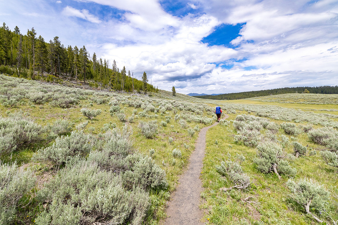Views along the Mary Mountain Trail: Hiker near the Mary Mountai