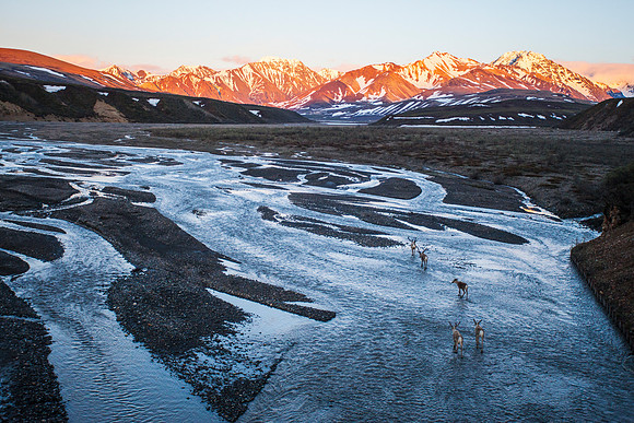 denali