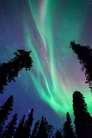 denali