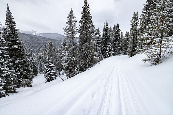 Custer Gallatin National Forest Maxey Cabin: views along the tra