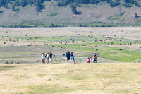 People watching bison in Lamar Valley