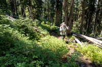 Hikers on the Thunderer Cutoff Trail headed to Chaw Pass