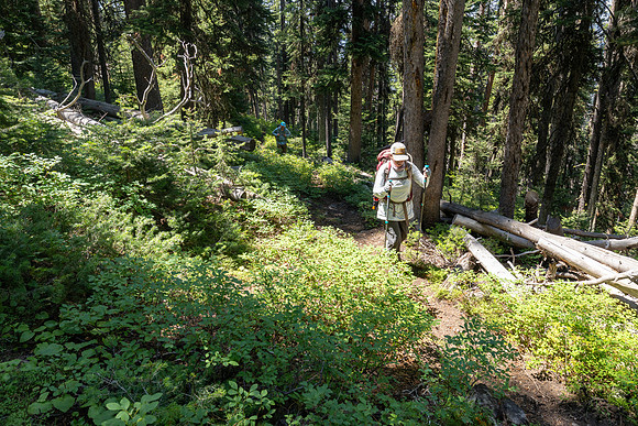 Hikers on the Thunderer Cutoff Trail headed to Chaw Pass