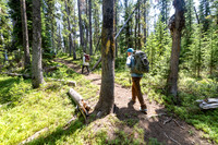 Hikers on the Thunderer Cutoff Trail headed to Chaw Pass (2)