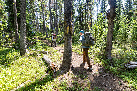 Hikers on the Thunderer Cutoff Trail headed to Chaw Pass (2)