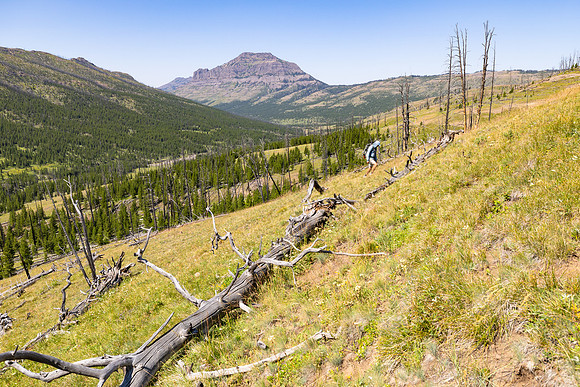 Hikers on the Cache Creek Trail headed towards Republic Pass (5)